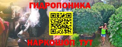 apvp Кинель