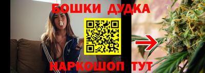 spice Кимры