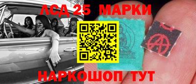 spice Кимры
