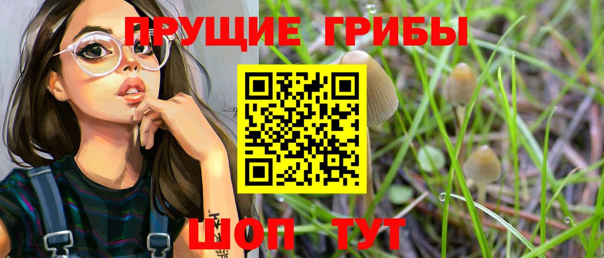 Шарыпово  Псилоцибиновые грибы Cubensis  Вход с VPN 